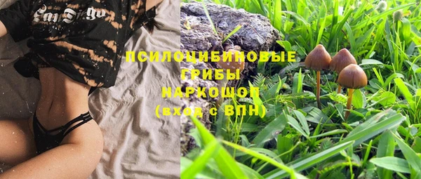 не бодяженный Гусиноозёрск
