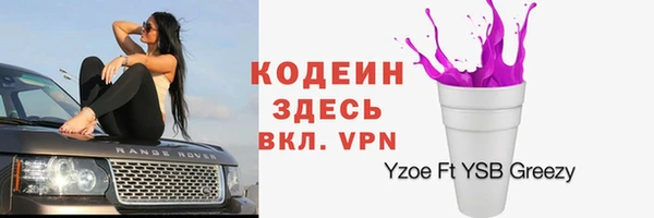 прущий лед Гусев