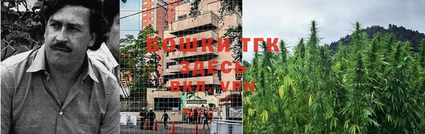 не бодяженный Гусиноозёрск