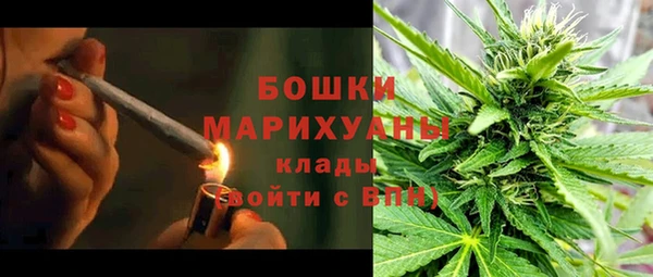 не бодяженный Гусиноозёрск