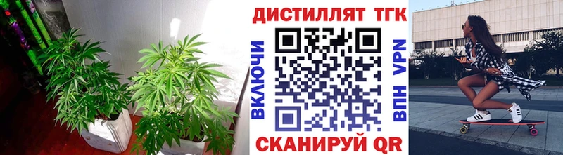Дистиллят ТГК THC oil  Купить  Тавда 